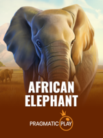 Game African Elephant Terpercaya dengan Fitur Terbaik